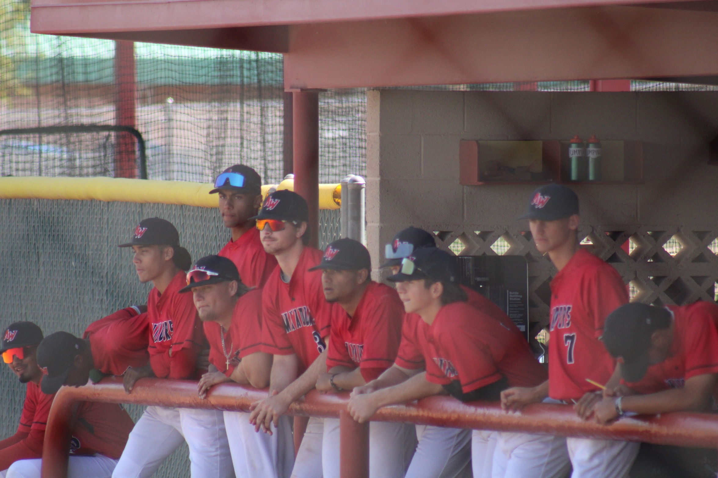 Matadors Baseball summer ball update